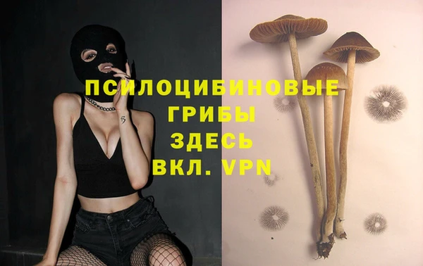 spice Волоколамск