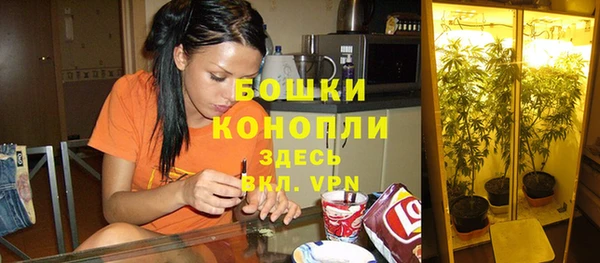 СК Волосово