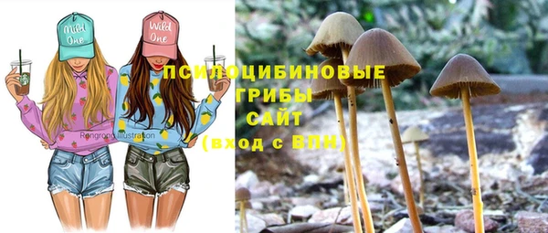 spice Волоколамск