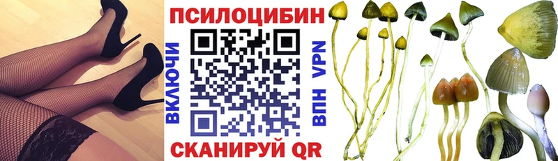 Галлюциногенные грибы мицелий Белгород