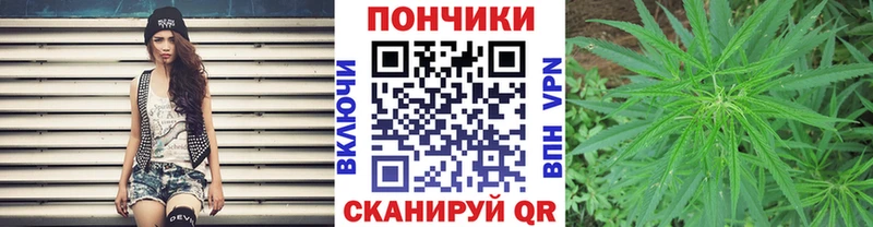 цена   Белгород  площадка Telegram  Каннабис планчик 